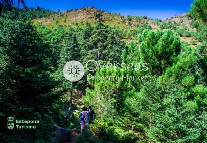 Nouvelle construction - Appartement -
Estepona