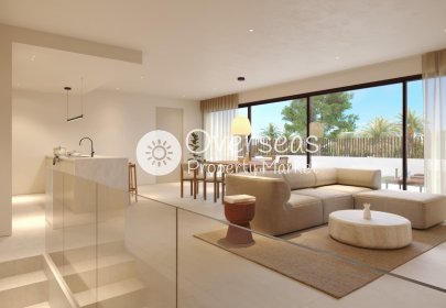 Obra nueva - Quad -
Dolores