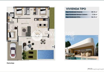 Obra nueva - Quad -
Dolores