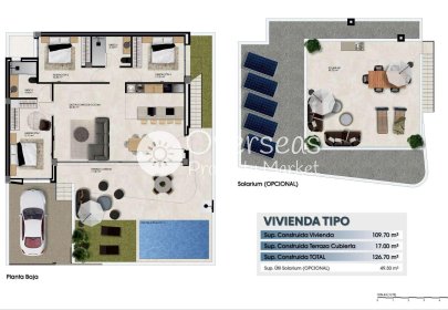 Obra nueva - Quad -
Dolores