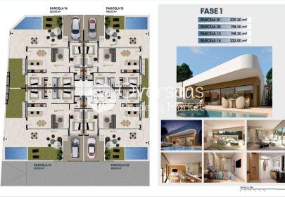 Obra nueva - Quad -
Dolores