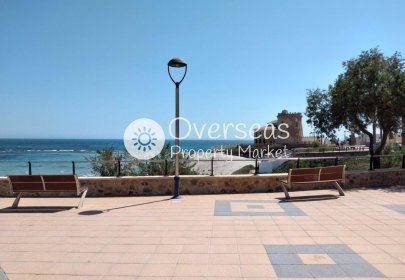 Obra nueva - Villa -
Pilar de La Horadada