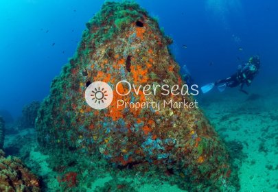 Obra nueva - Ground floor apartment -
Aguilas