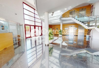 Neue Gebäude - Wohnung -
Archena