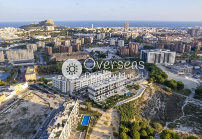 Obra nueva - Ático -
Alicante