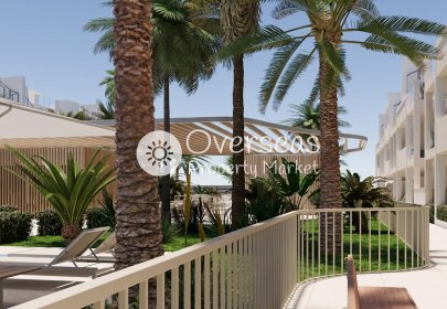 New Build - Apartment / flat -
Torre Pacheco