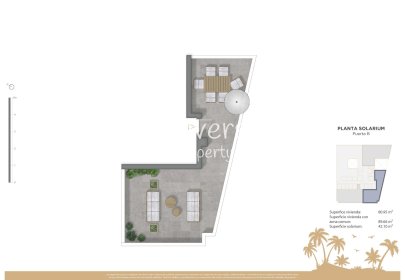 Neue Gebäude - Penthouse -
Guardamar del Segura