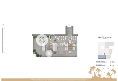 Obra nueva - Ático -
Guardamar del Segura