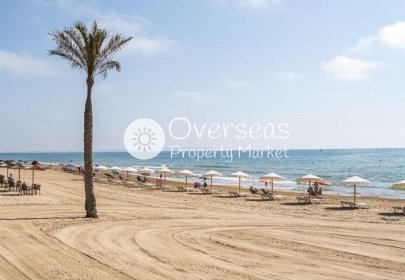 Nouvelle construction - Appartement -
Guardamar del Segura