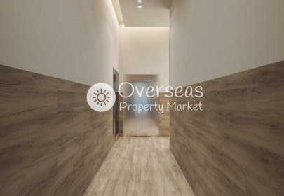 Obra nueva - studio -
Torrevieja