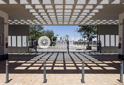 Obra nueva - Ático -
Vera