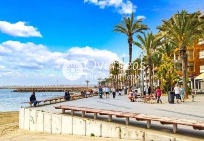 Obra nueva - Ático -
Torrevieja