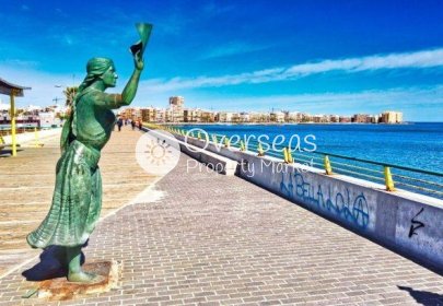 Obra nueva - Ático -
Torrevieja