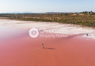 Obra nueva - Ático -
Torrevieja