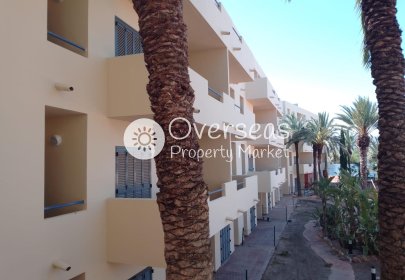 Nieuwbouw Woningen - Ground floor apartment -
Vera