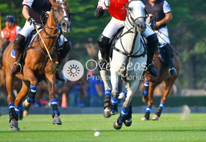 Neue Gebäude - Wohnung -
Manilva