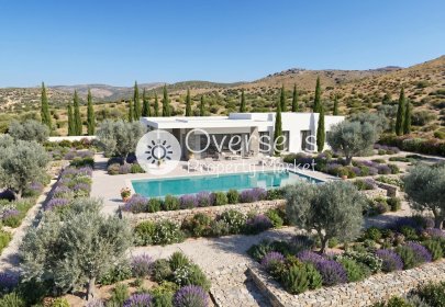 New Build - Villa -
Pinoso