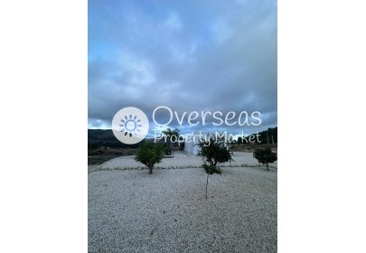 New Build - Villa -
Pinoso