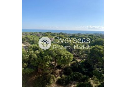 Nouvelle construction - Appartement -
Guardamar del Segura