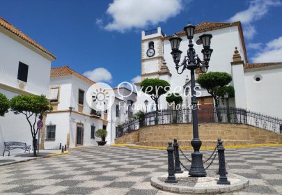 New Build - Apartment / flat -
Sotogrande - San Roque Club