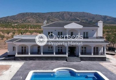 New Build - Villa -
Pinoso - Camino Del Prado