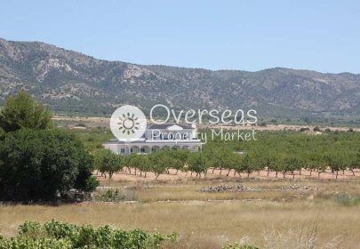 New Build - Villa -
Pinoso - Camino Del Prado