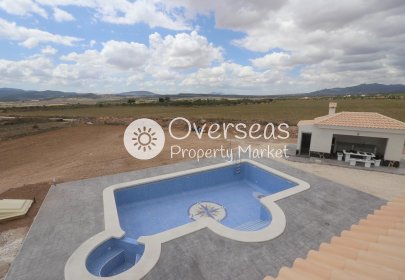 New Build - Villa -
Pinoso - Camino Del Prado