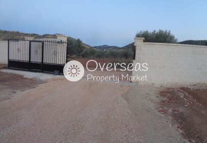 New Build - Villa -
Pinoso - Camino Del Prado