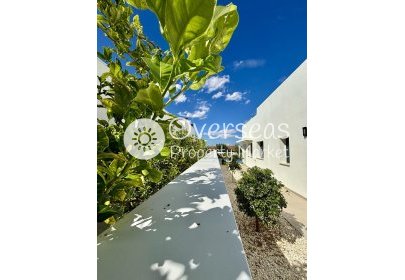 New Build - Villa -
Benijofar - Pueblo