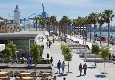 Nouvelle construction - Appartement -
Málaga - El Limonar