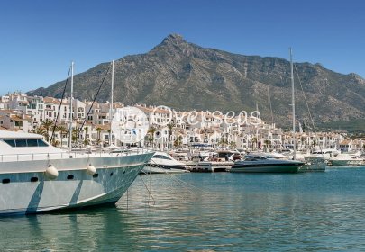 New Build - Apartment / flat -
Marbella - San Pedro
