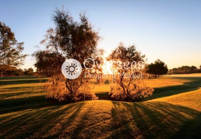 New Build - Villa -
Pilar de la Horadada - Lo Romero Golf