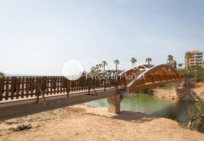 New Build - Villa -
Pilar de la Horadada - Riomar