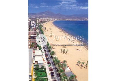 New Build - Apartment / flat -
San Juan Alicante - Franc Espinós
