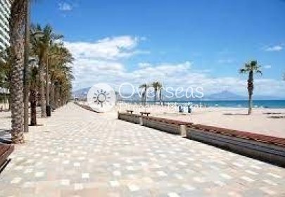 New Build - Apartment / flat -
San Juan Alicante - Franc Espinós