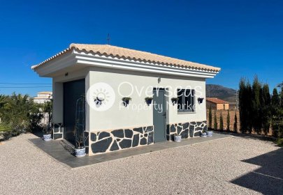 New Build - Villa -
Pinoso - Camino Del Prado