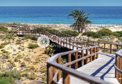 New Build - Apartment / flat -
Monforte del Cid - Alenda Golf