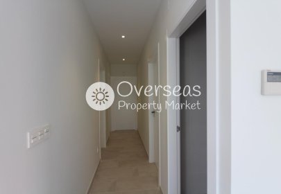 New Build - Villa -
Pinoso - Lel